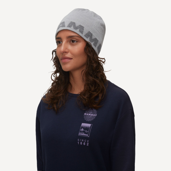 Шапка Mammut Logo Beanie Reversible (; one size; platinum-alloy)